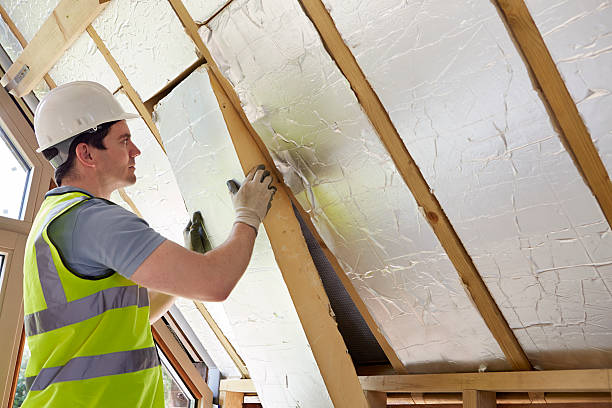 Best Cellulose Insulation in Kingwood, WV