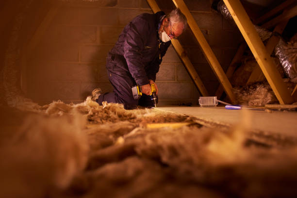 Professional Insulation Contractor in Kingwood, WV